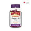 Melatonin Gummies 90 Webber